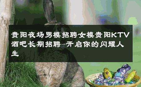 贵阳夜场男模招聘女模贵阳KTV酒吧长期招聘-开启你的闪耀人生 