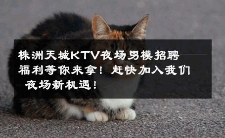 株洲天城KTV夜场男模招聘——福利等你来拿！赶快加入我们-夜场新机遇！ 
