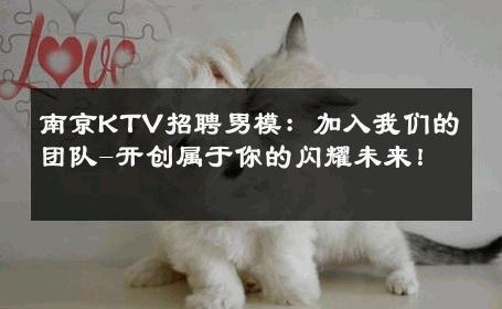 南京KTV招聘男模：加入我们的团队-开创属于你的闪耀未来！ 