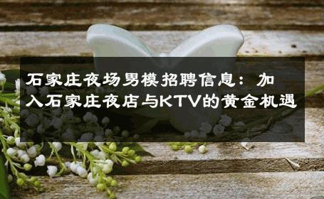 石家庄夜场男模招聘信息：加入石家庄夜店与KTV的黄金机遇 
