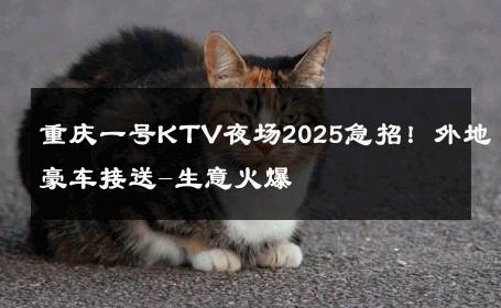 重庆一号KTV夜场2025急招！外地豪车接送-生意火爆 