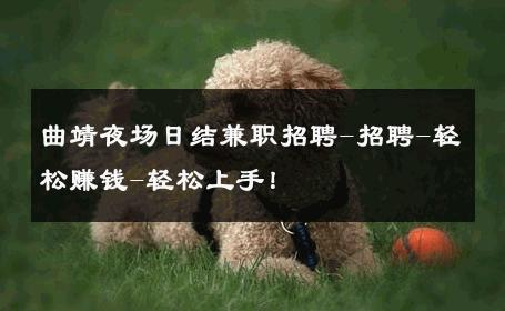 曲靖夜场日结兼职招聘-招聘-轻松赚钱-轻松上手！ 