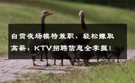 自贡夜场模特兼职，轻松赚取高薪，KTV招聘信息全掌握！