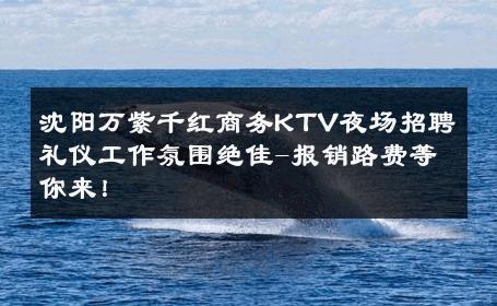 沈阳万紫千红商务KTV夜场招聘礼仪工作氛围绝佳-报销路费等你来！ 