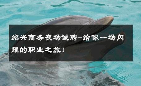 绍兴商务夜场诚聘-给你一场闪耀的职业之旅！ 