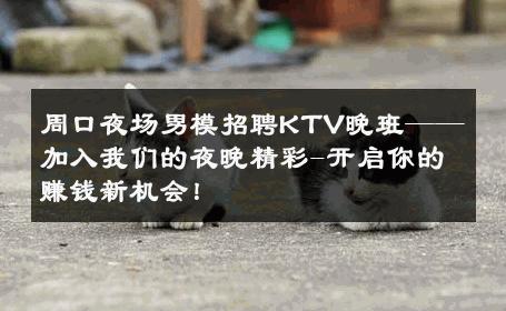 周口夜场男模招聘KTV晚班——加入我们的夜晚精彩-开启你的赚钱新机会！ 