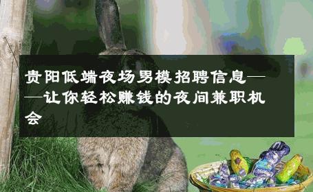 贵阳低端夜场男模招聘信息——让你轻松赚钱的夜间兼职机会 