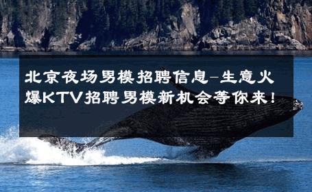 北京夜场男模招聘信息-生意火爆KTV招聘男模新机会等你来！ 