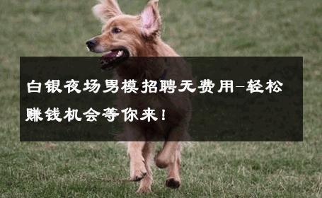白银夜场男模招聘无费用-轻松赚钱机会等你来！ 