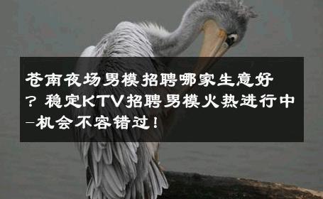 苍南夜场男模招聘哪家生意好？稳定KTV招聘男模火热进行中-机会不容错过！ 