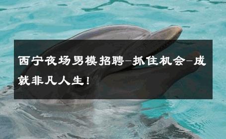 西宁夜场男模招聘-抓住机会-成就非凡人生！ 