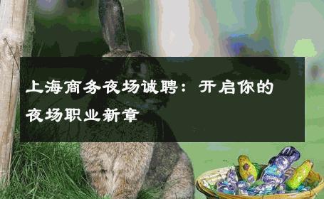 上海商务夜场诚聘：开启你的夜场职业新章 