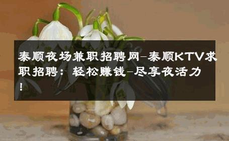 泰顺夜场兼职招聘网-泰顺KTV求职招聘：轻松赚钱-尽享夜活力！ 