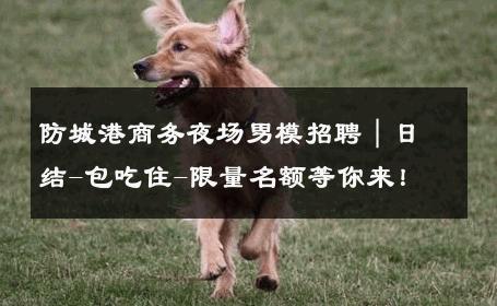 防城港商务夜场男模招聘｜日结-包吃住-限量名额等你来！ 