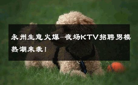 永州生意火爆-夜场KTV招聘男模热潮来袭！ 