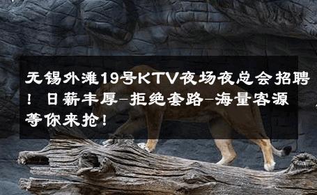 无锡外滩19号KTV夜场夜总会招聘！日薪丰厚-拒绝套路-海量客源等你来抢！ 