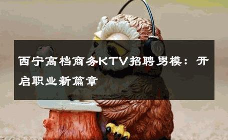 西宁高档商务KTV招聘男模：开启职业新篇章 