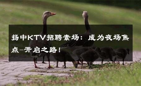 扬中KTV招聘素场：成为夜场焦点-开启之路！ 