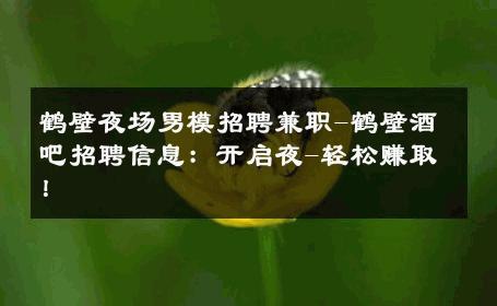 鹤壁夜场男模招聘兼职-鹤壁酒吧招聘信息：开启夜-轻松赚取！ 