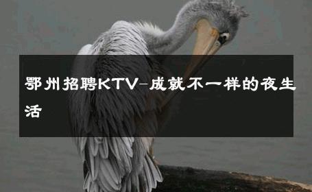 鄂州招聘KTV-成就不一样的夜生活 