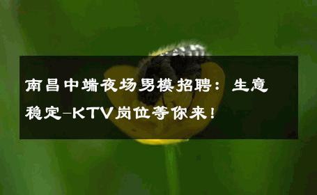 南昌中端夜场男模招聘：生意稳定-KTV岗位等你来！ 