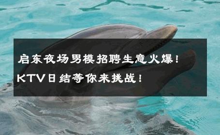 启东夜场男模招聘生意火爆！KTV日结等你来挑战！ 