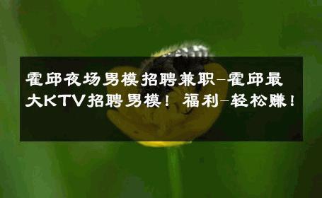 霍邱夜场男模招聘兼职-霍邱最大KTV招聘男模！福利-轻松赚！ 