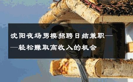 沈阳夜场男模招聘日结兼职——轻松赚取高收入的机会 