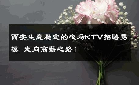 西安生意稳定的夜场KTV招聘男模-走向高薪之路！ 