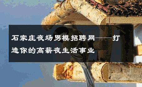 石家庄夜场男模招聘网——打造你的高薪夜生活事业 