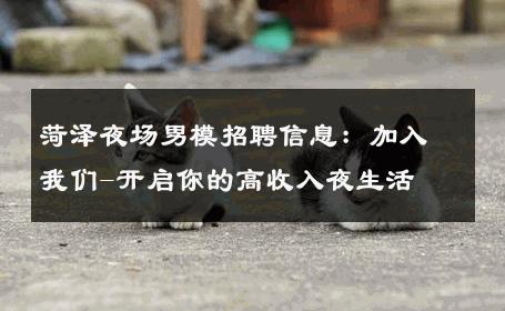 菏泽夜场男模招聘信息：加入我们-开启你的高收入夜生活 
