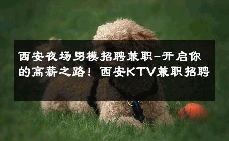 西安夜场男模招聘兼职-开启你的高薪之路！西安KTV兼职招聘 