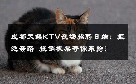 成都天娱KTV夜场招聘日结！拒绝套路-报销机票等你来抢！ 