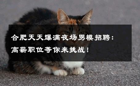 合肥天天爆满夜场男模招聘：高薪职位等你来挑战！ 