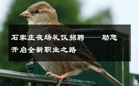 石家庄夜场礼仪招聘——助您开启全新职业之路 