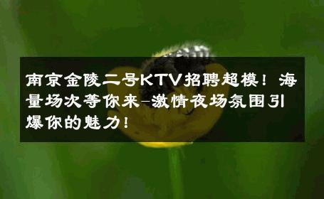 南京金陵二号KTV招聘超模！海量场次等你来-激情夜场氛围引爆你的魅力！ 