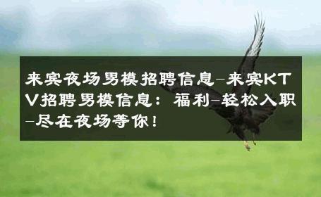 来宾夜场男模招聘信息-来宾KTV招聘男模信息：福利-轻松入职-尽在夜场等你！ 