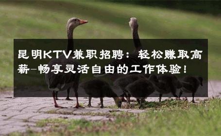昆明KTV兼职招聘：轻松赚取高薪-畅享灵活自由的工作体验！ 