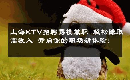 上海KTV招聘男模兼职-轻松赚取高收入-开启你的职场新体验！ 