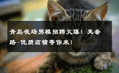 青岛夜场男模招聘火爆！无套路-优质店铺等你来！ 