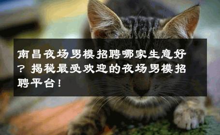 南昌夜场男模招聘哪家生意好？揭秘最受欢迎的夜场男模招聘平台！ 