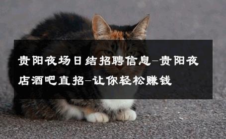贵阳夜场日结招聘信息-贵阳夜店酒吧直招-让你轻松赚钱 