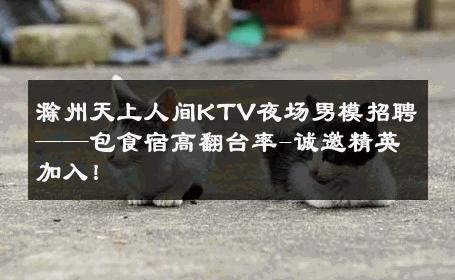 滁州天上人间KTV夜场男模招聘——包食宿高翻台率-诚邀精英加入！ 