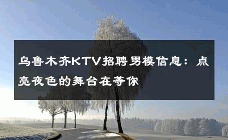 乌鲁木齐KTV招聘男模信息：点亮夜色的舞台在等你 