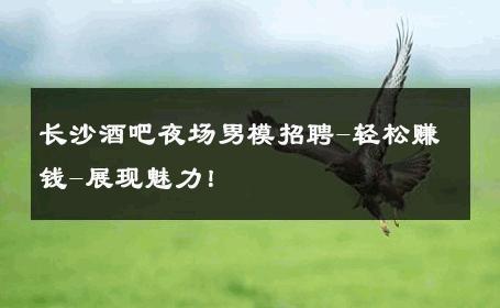 长沙酒吧夜场男模招聘-轻松赚钱-展现魅力！ 