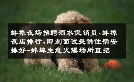 蚌埠夜场招聘酒水促销员,蚌埠夜店排行,即刻面试提供住宿安排好-蚌埠生意火爆场所直招