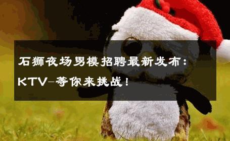 石狮夜场男模招聘最新发布：KTV-等你来挑战！ 