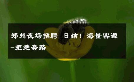 郑州夜场招聘-日结！海量客源-拒绝套路 