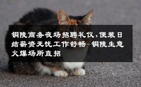 铜陵商务夜场招聘礼仪,便装日结薪资无忧工作舒畅-铜陵生意火爆场所直招