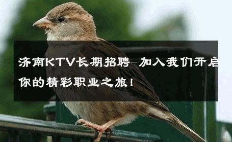 济南KTV长期招聘-加入我们开启你的精彩职业之旅！ 